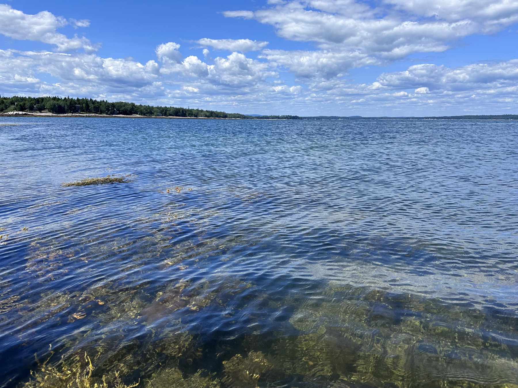 Schoodic shoreline photo 1