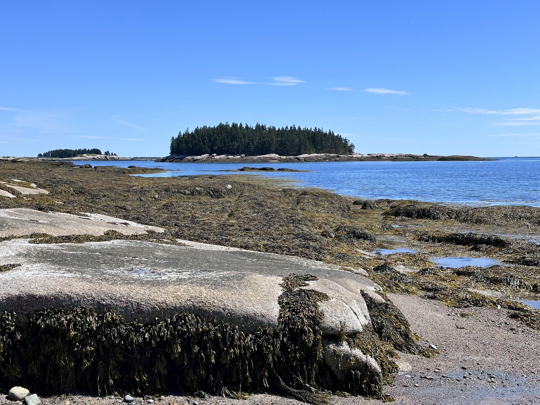 Schoodic shoreline photo 3