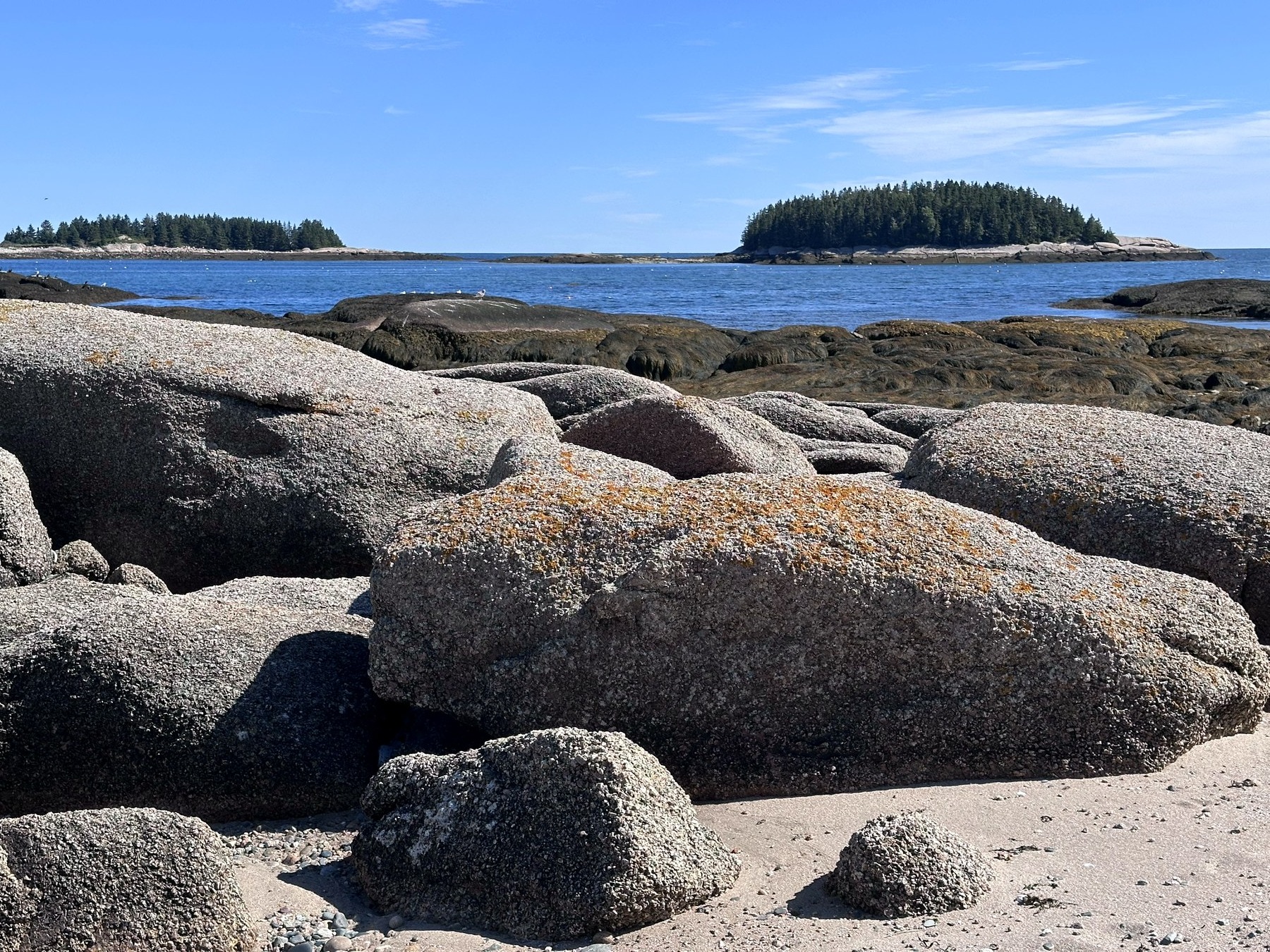 Schoodic shoreline photo 7