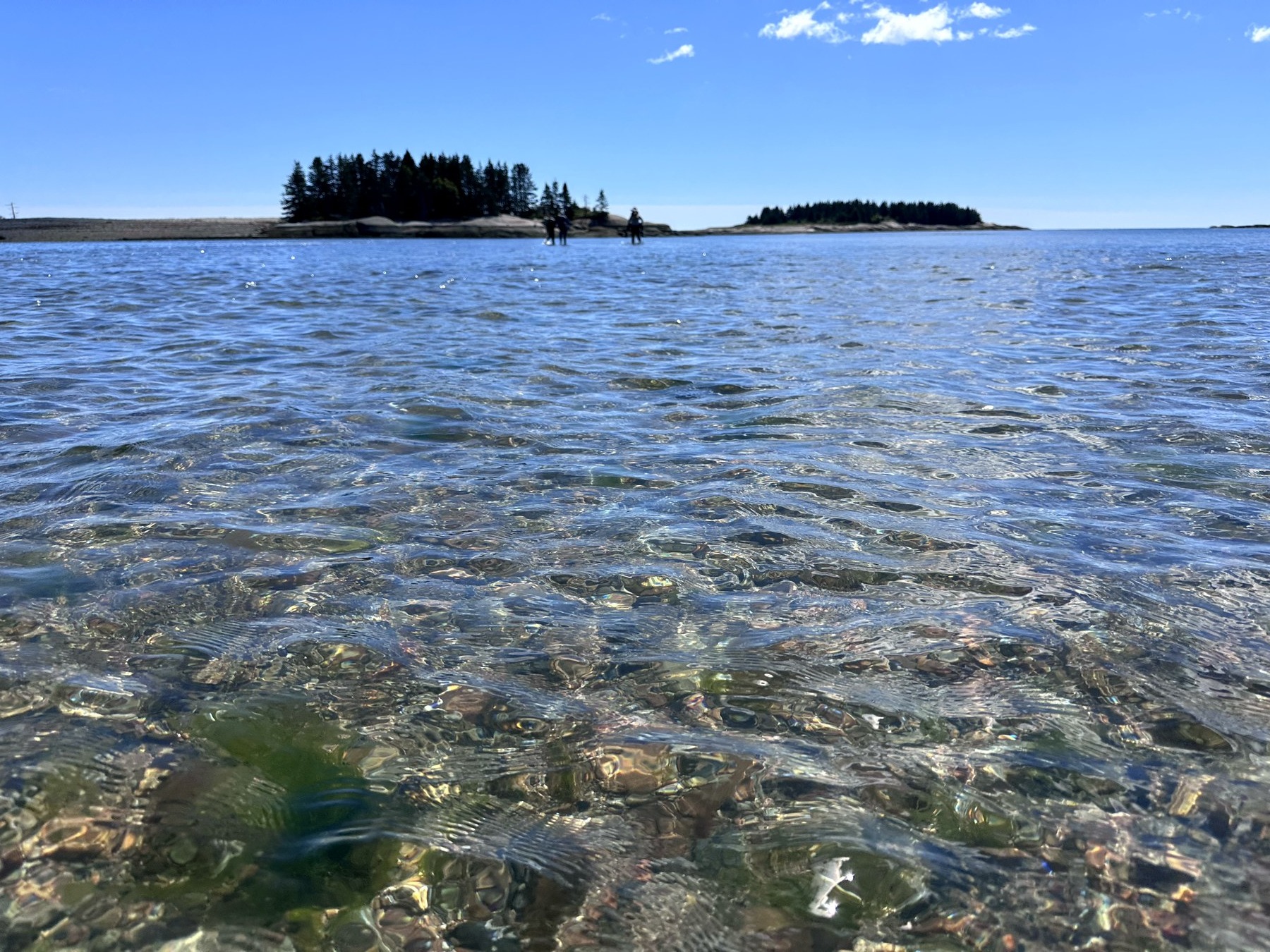 Schoodic shoreline photo 12
