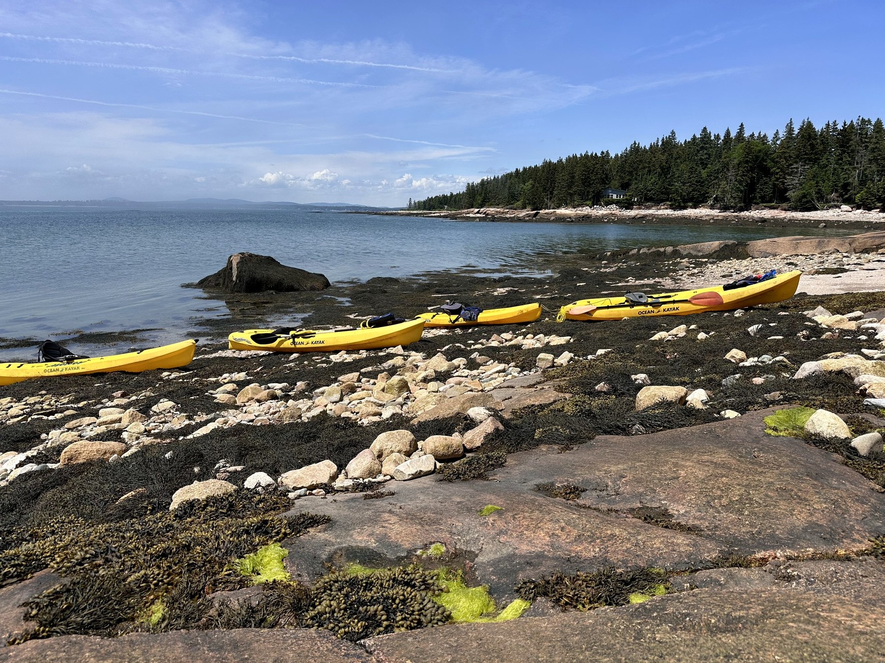 Schoodic shoreline photo 13