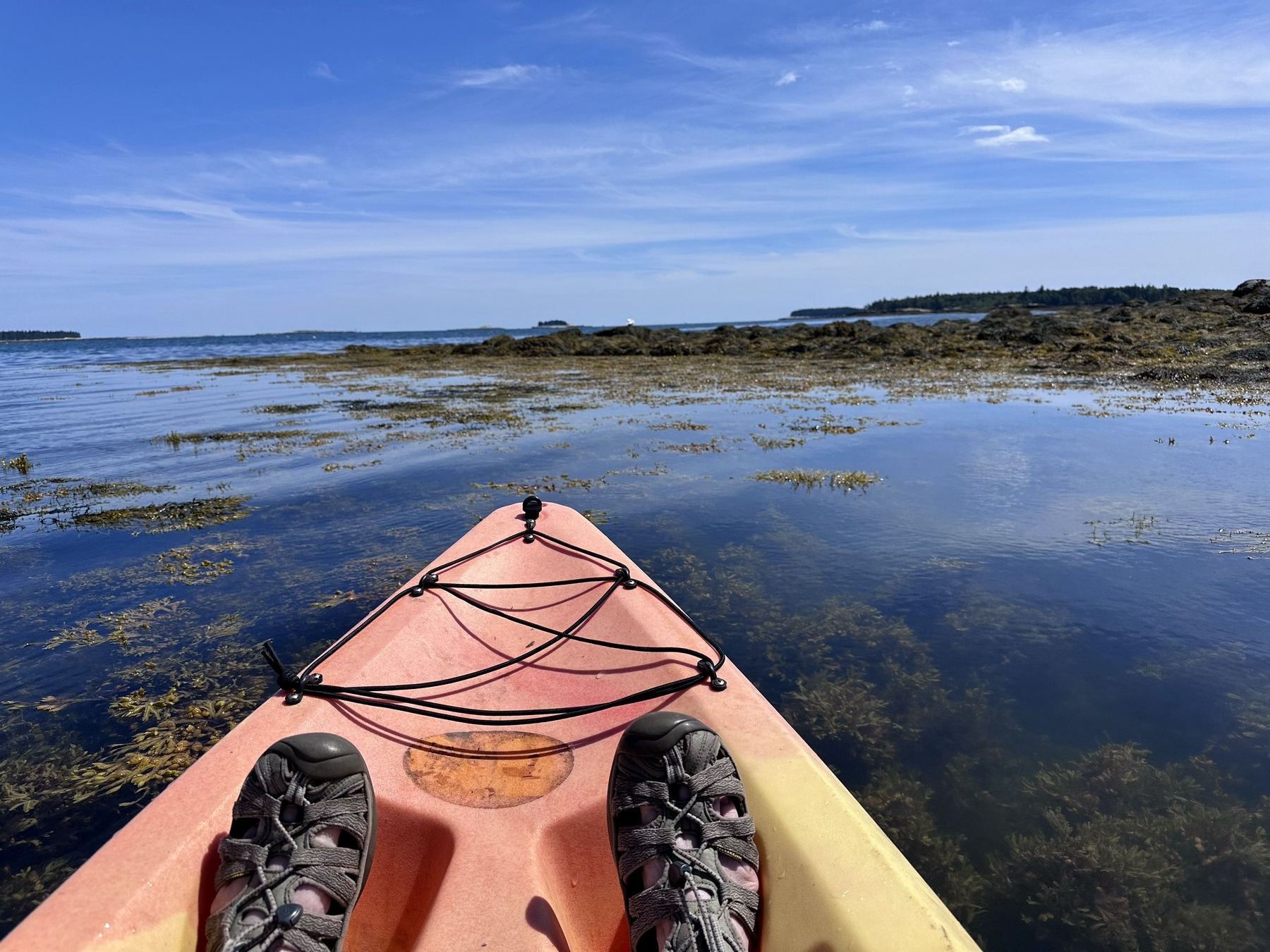 Schoodic shoreline photo 15