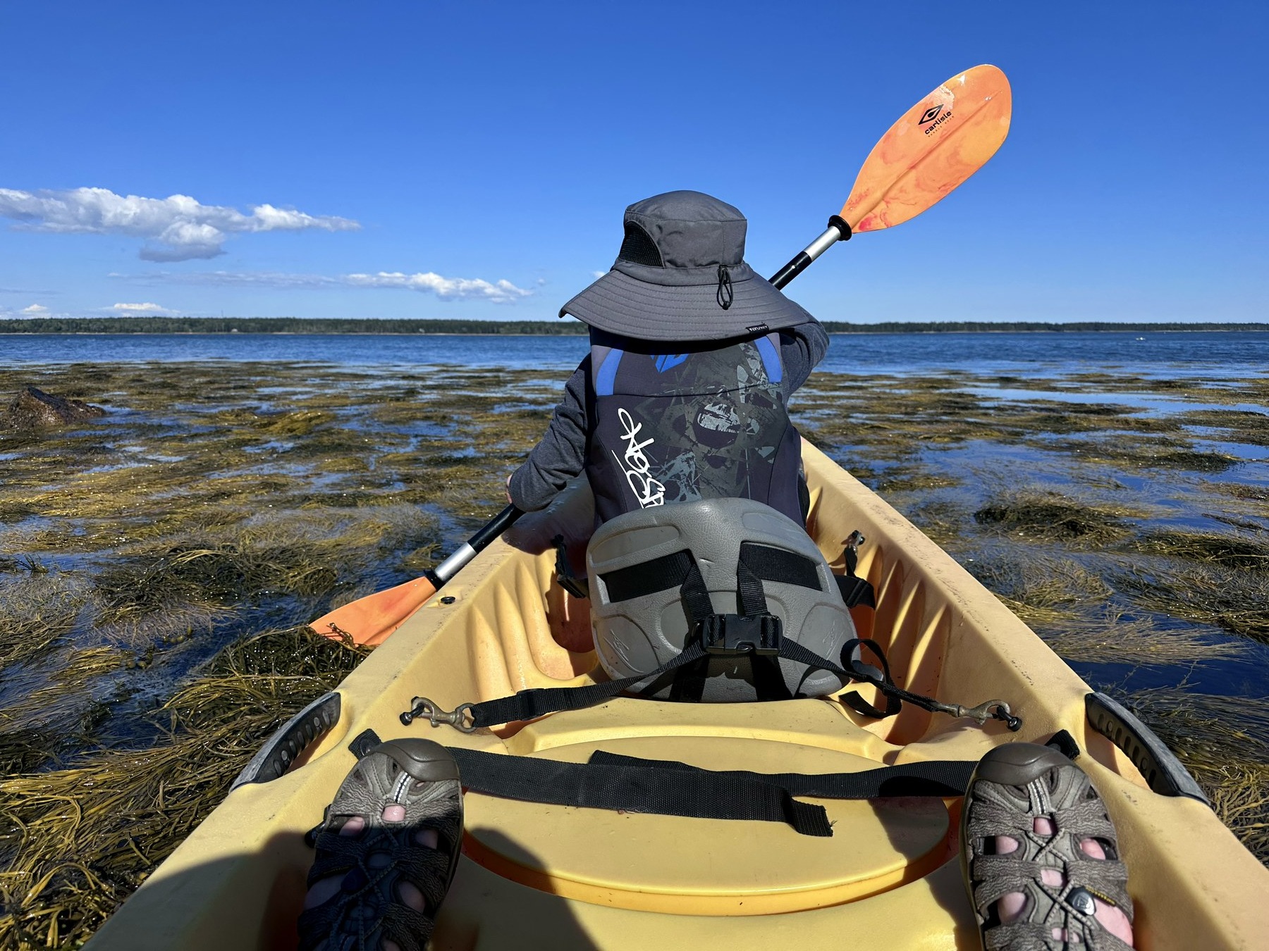 Schoodic shoreline photo 16
